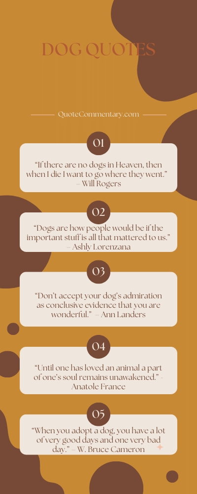 Dog Quotes + Their Meanings/Explanations