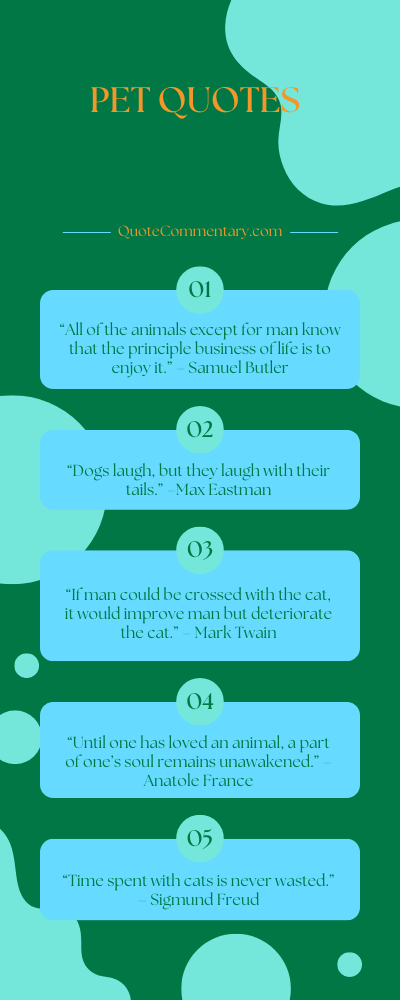 Pet Quotes + Their Meanings/Explanations